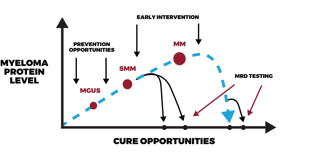 Road to the Cure International Myeloma Foundation