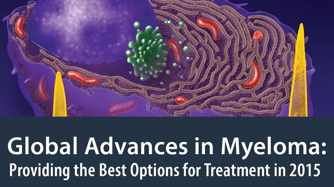 Best Options for MM Treatment in 2015 Int’l Myeloma Fn